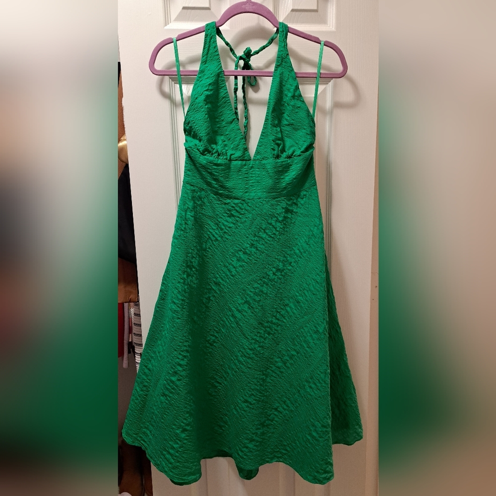 J. CREW Dress (8)
